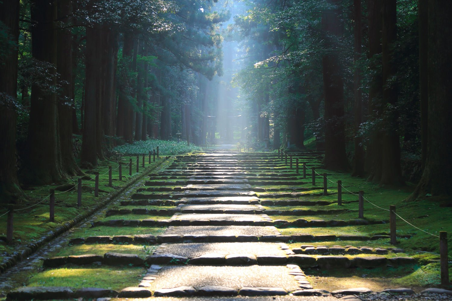 ⛩️ 헤이센지 백산 신사(헤이센지 하쿠산 진자) 이미지 9